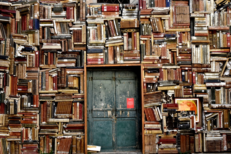 librairie-MENTON-min_books-1655783